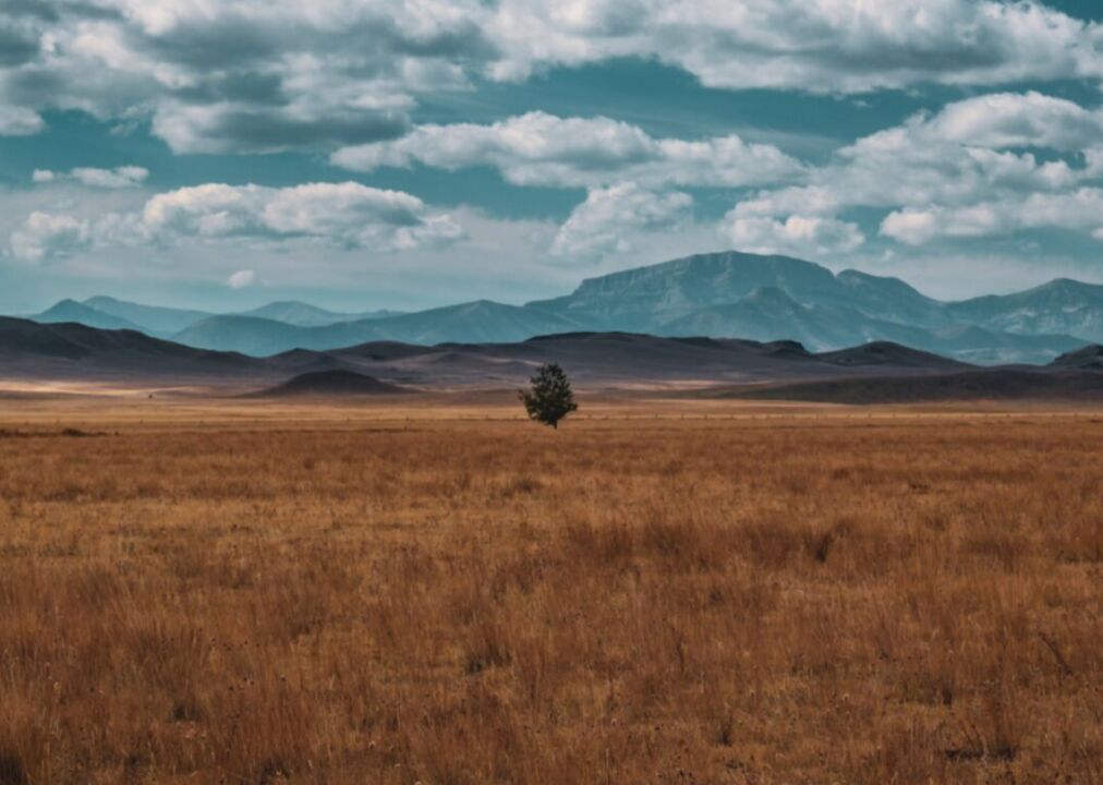 #13. Montana